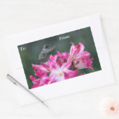 Kolibrie met belladonna lelies cadeau label (Envelop)