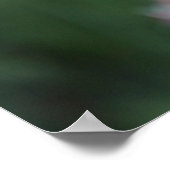 kolibrie met belladonnaliegen poster (Hoek)