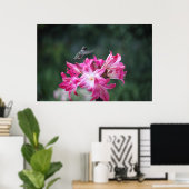 kolibrie met belladonnaliegen poster (Thuiskantoor)