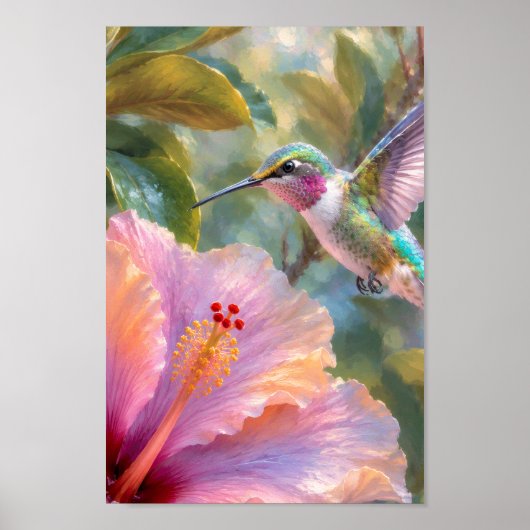 Kolibrie met Hibiscus Aquarel Poster (Voorkant)