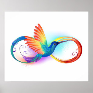 Kolibrie met oneindigheidssymbool en regenboog poster