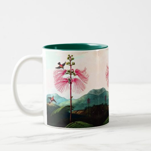 Kolibrie mimosa boomvogel  Kop (Links)