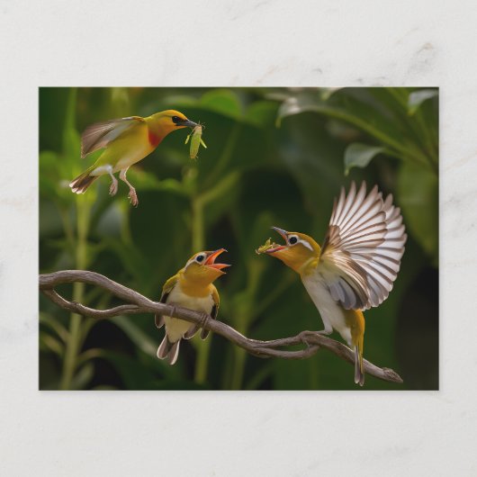 Kolibrie Moeder elegant neergestreken Briefkaart (Voorkant)