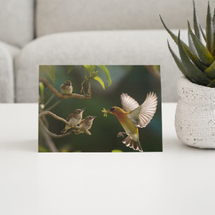 Kolibrie Moeder eten omhoog Briefkaart