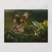 Kolibrie Moeder vogels balanceert sierlijk Briefkaart (Voorkant)