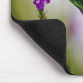 kolibrie muismat (Hoek)