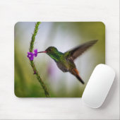 kolibrie muismat (Met muis)