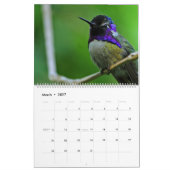 Kolibrie Natuur Wilde Dieren Kalender (Mar 2027)