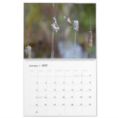 Kolibrie Natuur Wilde Dieren Kalender (Jan 2027)