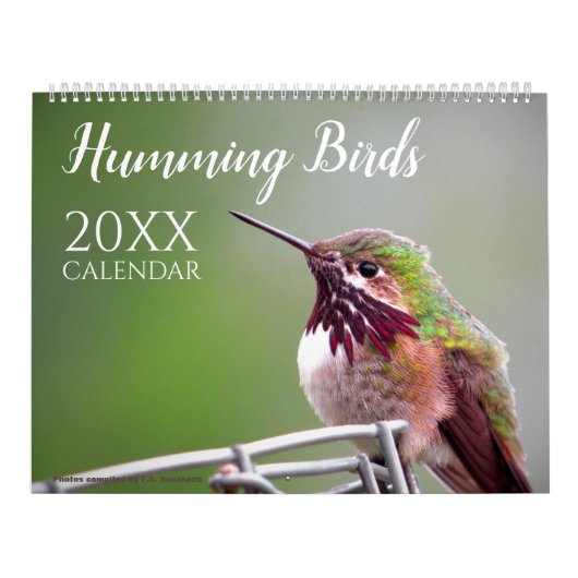Kolibrie Natuur Wilde Dieren Kalender (Hoes)