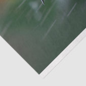 Kolibrie neergestreken op Bright Flower Decoupage Tissuepapier (Detail)