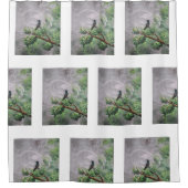 Kolibrie neergestreken op Leafy Branch Douchegordijn (Voorkant)