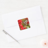 Kolibrie nippen nectar vierkante sticker (Envelop)