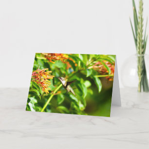 Kolibrie Note Kaart<Blank Inside> Bedankkaart