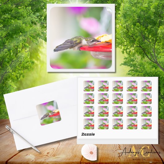 Kolibrie ontwerp #0624 vierkante sticker