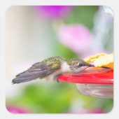 Kolibrie ontwerp #0624 vierkante sticker (Voorkant)
