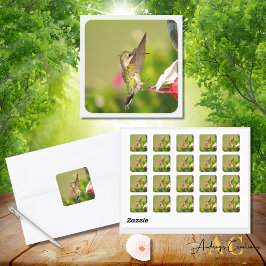 Kolibrie ontwerp #108A0604 Vierkante Sticker