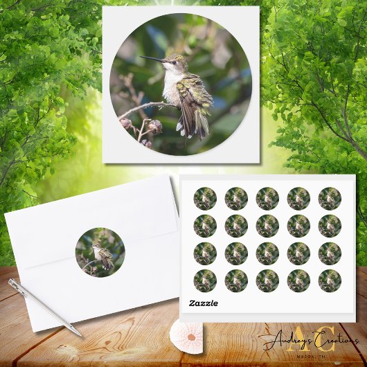 Kolibrie ontwerp #4Q7A5304 Ronde Sticker