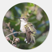 Kolibrie ontwerp #4Q7A5304 Ronde Sticker (Voorkant)