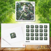 Kolibrie ontwerp #4Q7A9974 Vierkante Sticker