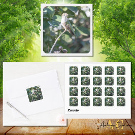 Kolibrie ontwerp #4Q7A9974 Vierkante Sticker