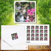 Kolibrie ontwerp #8354 vierkante sticker