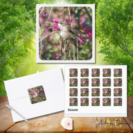 Kolibrie ontwerp #8401 vierkante sticker