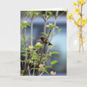 KOLIBRIE OP DOGWOOD TREE KAART (Gele Bloem)