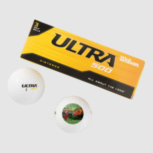 Kolibrie op een golfbal golfballen