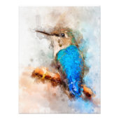 Kolibrie op een tak Waterverf - 01 Foto Afdruk (Voorkant)