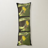 Kolibrie op gele cactus bloesem drieluik lichaamskussen (Achterkant (Verticaal))