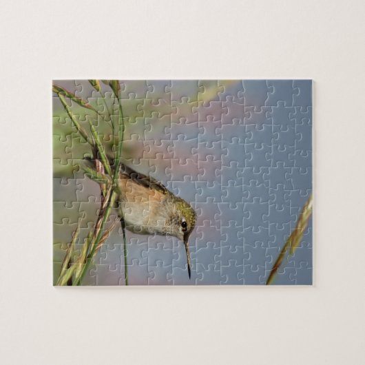 kolibrie op gras legpuzzel (Horizontaal)