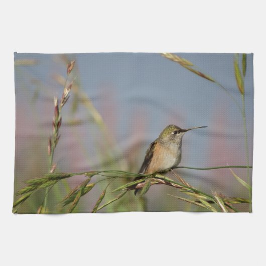 kolibrie op gras theedoek (Horizontaal)