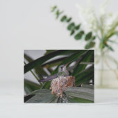 Kolibrie op het Briefkaart (Staand voorkant)