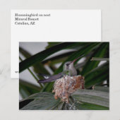 Kolibrie op het Briefkaart (Voorkant / Achterkant)