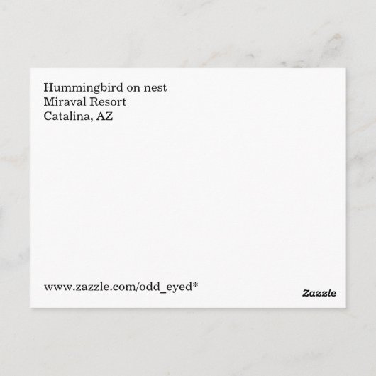 Kolibrie op het Briefkaart (Achterkant)