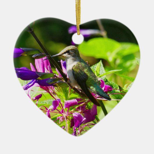 Kolibrie op Kolibrie-Munt Kleurrijke Natuur Keramisch Ornament (Voorkant)