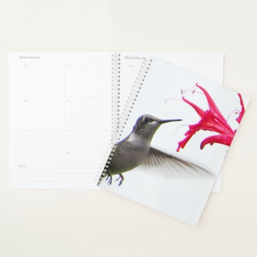 Kolibrie op Monarda Planner (Display)
