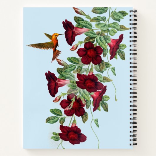 Kolibrie op rode Mandevillea bloemen Notitieboek (Achterkant)