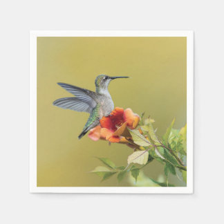 Kolibrie op Trompetbloem Fotografische Print Servet