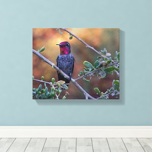 kolibrie op zonsondergang canvas afdruk (Insitu (Houten vloer))