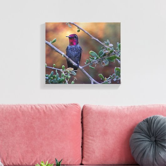 kolibrie op zonsondergang canvas afdruk (Insitu (Woonkamer))