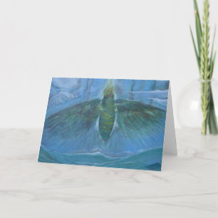 Kolibrie oplopend kaart