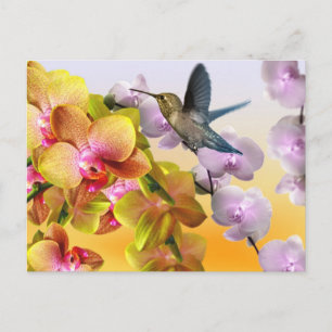 Kolibrie, Paarse Seringen, Gele Roze Orchideeën Briefkaart