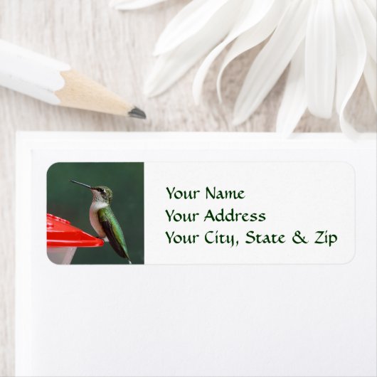 Kolibrie Portret Custom Return Adres Labels (Insitu)