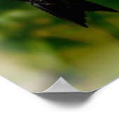 Kolibrie Psalm 121:7-8 Poster (Hoek)