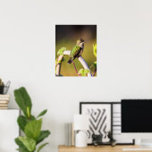 Kolibrie Resting 16 x 20 Poster (Thuiskantoor)