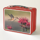 Kolibrie rode bloem (Achterkant)