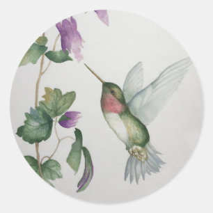 Kolibrie Ronde Sticker Tuinbloem