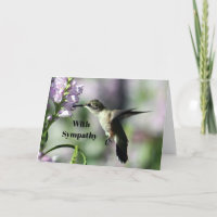 Kolibrie Roze Bloemen Wildlife Foto Sympathy